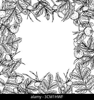 Illustrazione monocromatica di bacche, gemme e foglie vettoriali dipinta con inchiostri neri. Bozzetto grafico del set di bacche selvatiche Illustrazione Vettoriale