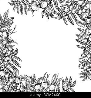 Bordo quadrato di frutti di bosco maturi autunnali monocromatici su un ramo con foglie con spazio di copia per il testo. Rowan e vettore di piante dell'anca rosa isolato lineare Illustrazione Vettoriale
