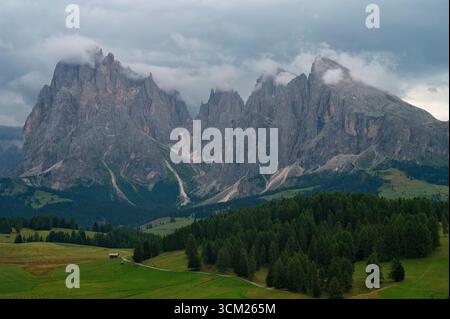 Alpe di Siusi: Prati verdi e maestose Dolomiti, un paradiso alpino.” Foto Stock