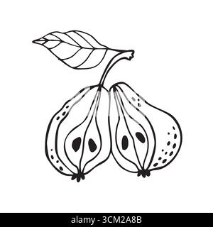 Sagoma vettoriale clip art con pera tagliata a metà con una foglia, disegnata a mano. Elegante e minimalista elemento di design fruttato. Bianco e nero. Disegnato a mano. Illustrazione Vettoriale