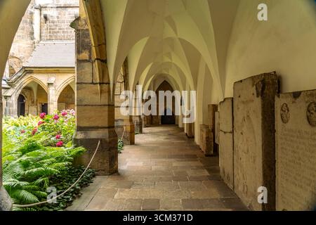 Kreuzgang im Meissner Dom, Meissen, Sachsen, Deutschland | Meissen Cathedral Cloister, Meissen, Sassonia, Germania Foto Stock