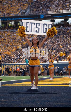 13 settembre 2025, Morgantown, WV, Stati Uniti: 13 settembre, 2025: WVU Cheer durante la West Virginia University Mountaineers (WVU) vs University of Pittsburgh Panthers a Morgantown, WV allo Stadio Puskar di Milano. Bradley Martin/Apparent Media Group (Credit Image: © AMG/AMG via ZUMA Press Wire) SOLO PER USO EDITORIALE! Non per USO commerciale! Foto Stock