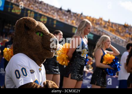 13 settembre 2025, Morgantown, WV, Stati Uniti: 13 settembre, 2025: Pitt si accomoda durante la West Virginia University Mountaineers (WVU) vs University of Pittsburgh Panthers a Morgantown, WV allo Stadio Puskar di Milano. Bradley Martin/Apparent Media Group (Credit Image: © AMG/AMG via ZUMA Press Wire) SOLO PER USO EDITORIALE! Non per USO commerciale! Foto Stock