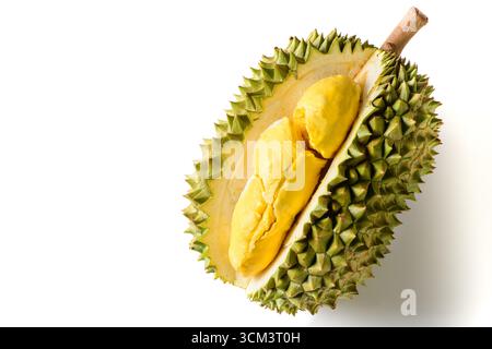Frutta fresca Durian (Durio zibethinus) aperta su sfondo bianco. Esotico Re di frutta tropicale Tailandese Foto Stock
