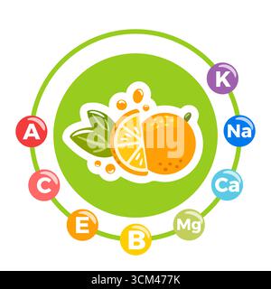 Una vivace illustrazione vettoriale con un arancione brillante che mostra i suoi segmenti succosi. Attorno al frutto sono presenti i simboli delle vitamine essenziali e. Illustrazione Vettoriale