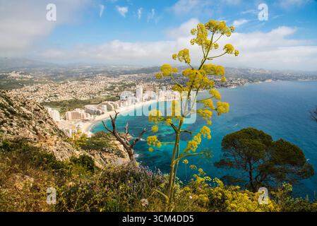 Calpe, spiaggia di Fossa, vista da Penon de Ifach, spiaggia di Fossa, a Moraira, Costa Blanca, provincia di Alicante, Spagna Foto Stock