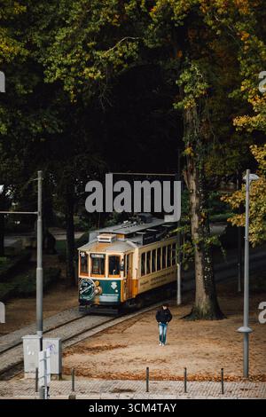 Storico tram numero 18 per Clerigos attraverso il Parco autunnale di Porto Portogallo. Trasporto pubblico d'epoca, turismo cittadino europeo Fall Foliage, transito urbano Foto Stock