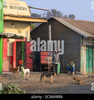 Raduno di cani randagi vicino a una macelleria, Loitokitok District, Kenya. Foto Stock