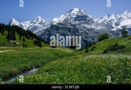 Prato alpino con ruscelli e fiori selvatici, hotel di montagna e vette di Eiger, Mönch e Jungfrau sullo sfondo, Mürren, Lauterbrunnen, Bernese OB Foto Stock