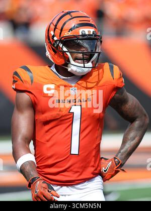 Cincinnati, Ohio, Stati Uniti. 14 settembre 2025. Cincinnati Bengals WR Ja'Marr Chase durante LA SETTIMANA 2 della stagione regolare tra i Cincinnati Bengals e i Jacksonville Jaguars a Cincinnati, Ohio. Kevin Schultz/CSM/Alamy Live News Foto Stock