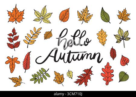 Illustrazione disegnata a mano di colorate foglie autunnali di varie forme e dimensioni, che circondano l'accogliente scritta "ciao Autunno", perfetta per la stagione Illustrazione Vettoriale