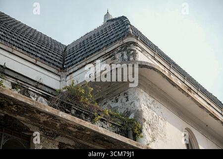 Una vista ravvicinata del tetto di un vecchio edificio con intricati dettagli architettonici che mostrano superfici intemprate e vegetazione sovrastata Foto Stock