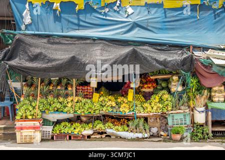 Bancarelle di frutta tropicale fresca con abbondanti banane, ananas e altri prodotti, protette da un tetto di telo improvvisato in un mercato soleggiato all'aperto. Foto Stock