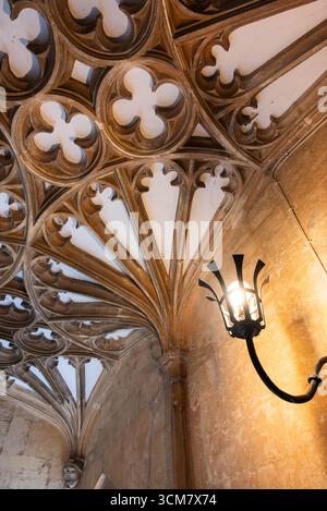 Oxford, Regno Unito 09 luglio 2025 soffitto e lampada a volta in stile gotico in tutti i college dell'Università di Oxford Foto Stock