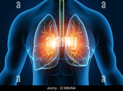 Anatomia polmonare umana su sfondo scientifico. illustrazione 3d. Foto Stock