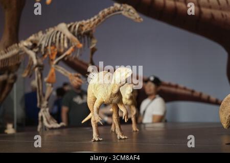 Los Angeles, Stati Uniti. 14 settembre 2025. I visitatori possono ammirare le mostre al Museo di storia naturale della contea di Los Angeles durante il decimo Dino Fest annuale a Los Angeles, negli Stati Uniti, 14 settembre 2025. Il museo ha aperto la sua decima edizione annuale del Dino Fest la domenica, attirando gli appassionati di dinosauri di tutte le età con rari reperti fossili, attività interattive e colloqui con i paleontologi più importanti. Crediti: Zeng Hui/Xinhua/Alamy Live News Foto Stock