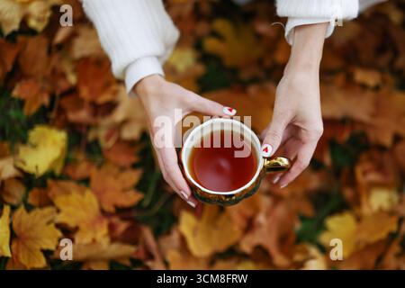 Mani che tengono il tè in una tazza dorata sullo sfondo del fogliame autunnale, atmosfera accogliente e stagionale. Foto Stock