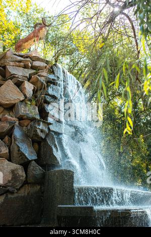 Piccola cascata che scende giù da un muro di pietra circondata dal verde - fontana naturale in giardino Foto Stock