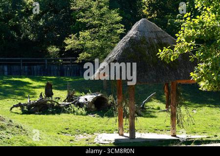 Vecchia capanna fatta di legno e paglia nel parco in una giornata di sole Foto Stock