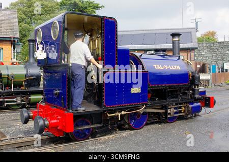 N. 1, tal Y Llyn, locomotiva, Wharf Station, tal Y Llyn Railway, Twyn, Foto Stock