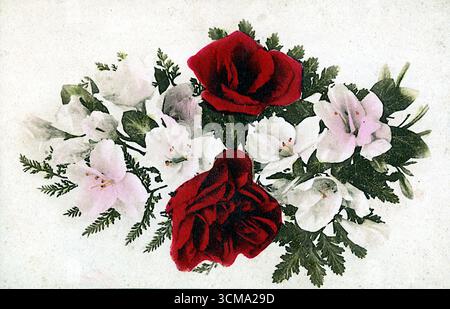 Tre ricche rose rosse ancorano una lussureggiante disposizione di gigli pallidi e foglie simili a felci, adagiate su un morbido sfondo neutro. La composizione floreale suggerisce rinnovamento e affetto, adatto per un saluto di Capodanno. Pubblicata da Boulton, Londra, questa carta edoardiana fonde eleganza botanica con sentimento stagionale, offrendo una tranquilla celebrazione della bellezza e della speranza. Da un biglietto di auguri edoardiano originale. Foto Stock