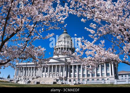 Capitale dello stato dello Utah durante la stagione dei fiori di ciliegio Foto Stock