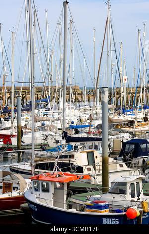 Amble Marina, Northumberland. Inghilterra nord-orientale Foto Stock