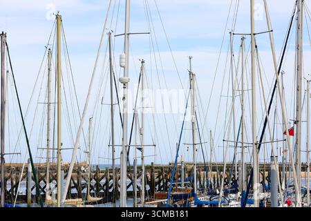 Amble Marina, Northumberland. Inghilterra nord-orientale Foto Stock