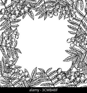 Struttura quadrata isolata vettoriale rowan monocromatica ad albero con spazio vuoto per il testo. Frutti di frassino di montagna disegnati a mano con disegno di foglie Illustrazione Vettoriale