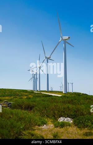 Una vista panoramica delle turbine eoliche alte in un vasto paesaggio verde. Il cielo azzurro evidenzia le strutture eoliche, simboleggiando il rinnovamento Foto Stock