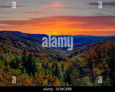 Great Smoky Mountains National Park; creste azzurre, valli ondulate e luce dorata sulle antiche foreste. Illustrazione Vettoriale