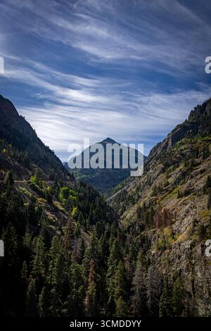 Una vista mozzafiato che si affaccia su una profonda valle di montagna piena di una pineta, che conduce a una vetta maestosa sotto un cielo azzurro. Foto Stock