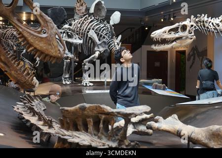 Pechino, Stati Uniti. 14 settembre 2025. Un visitatore osserva i fossili di dinosauri al Museo di storia naturale della contea di Los Angeles durante il decimo Dino Fest annuale a Los Angeles, negli Stati Uniti, 14 settembre 2025. Crediti: Zeng Hui/Xinhua/Alamy Live News Foto Stock