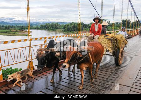 Ox cart crossing suspension bridge near Kon Tum Foto Stock