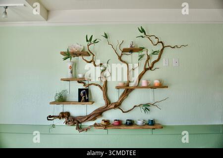 Ripiani decorativi a parete in legno con piante e articoli per la casa Foto Stock