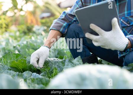 Gli agricoltori utilizzano la principale rete di dati in Internet, la tecnologia agricola, il lavoro sull'analisi dei dati raccolti tramite tablet, la tecnologia per il collegamento dati delle piantagioni Foto Stock