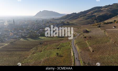 Il villaggio di Cornas e i suoi vigneti nella nebbia. Château de Crussol sullo sfondo, con vigneti della valle di Rhône. Foto Stock