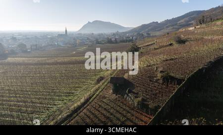 Il villaggio di Cornas e i suoi vigneti nella nebbia. Château de Crussol sullo sfondo, con vigneti della valle di Rhône. Foto Stock