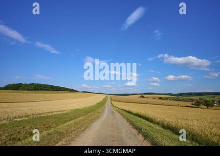 Una lunga pista sterrata conduce attraverso vasti campi di grano sotto un cielo azzurro limpido, Reichartshausen, Amorbach, Odenwald, Baviera, Germania Foto Stock