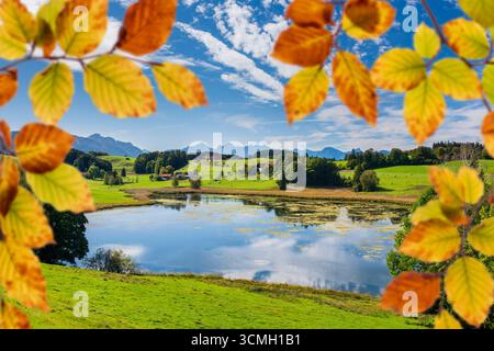 Herbstzeit ist Wanderzeit in den Bergen Schönes buntes Herbstlaub vor einer idylischen Berglandschaft am SEE mit Allgäuer Alpen im Hintergrund - FOTO Foto Stock