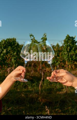 Foto verticale di mani maschili e femminili che tengono due bicchieri da vino vuoti affiancati, toccando delicatamente sopra i filari dei vigneti sotto un cielo azzurro. Caldo su Foto Stock