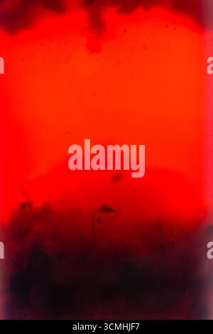 Sfondo astratto del succo di frutta rossa con polpa in una messa a fuoco morbida selettiva, primo piano Foto Stock