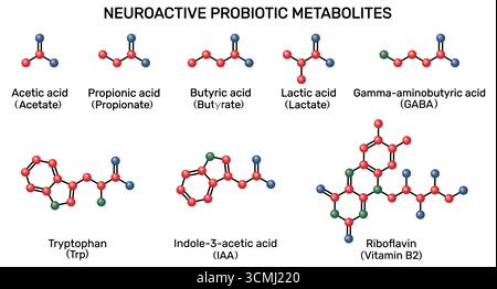 Metaboliti probiotici neuroattivi: Acidi grassi a catena corta, SCFA, metaboliti degli aminoacidi. Illustrazione Vettoriale