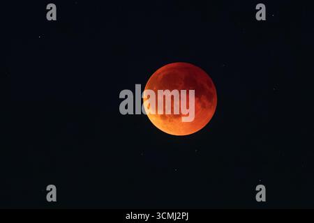 Fenomeno astronomico Blood Moon Eclipse Foto Stock