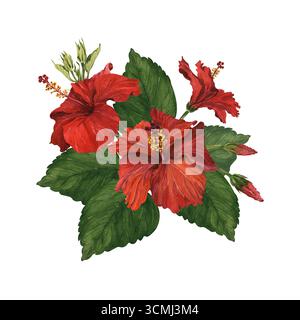 Illustrazione ad acquerello di una serie di fiori di ibisco rossi. Fiori tropicali per realizzare cartoline, inviti, disegni e imballaggi. Foto Stock