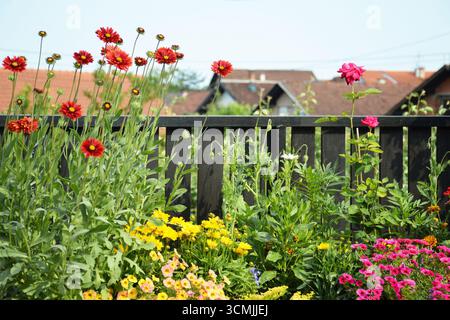 Fiori colorati che crescono in pentole sul balcone Foto Stock