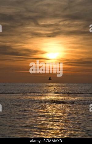 Caldo tramonto sull'oceano calmo con riflessi dorati e onde dolci, atmosfera tranquilla e varietà di colori naturali Foto Stock