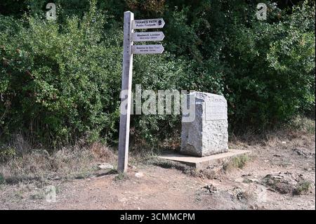 Sorgente del Tamigi in un campo nr Kemble, Gloucestershire Foto Stock