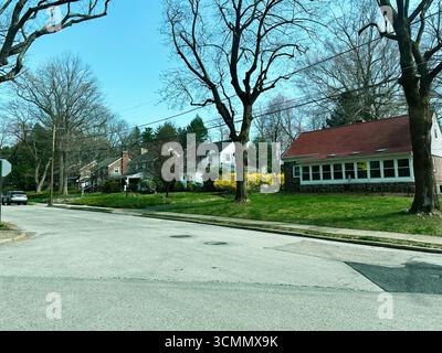 Jenkintown, Pennsylvania, Stati Uniti d'America - 1° aprile 2025: Strada suburbana con case e alberi in fiore sotto un cielo blu brillante a Jenkintown, Pennsylvania Foto Stock