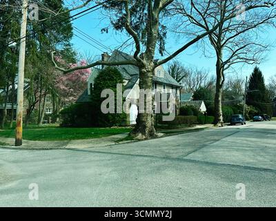 Jenkintown, Pennsylvania, Stati Uniti - 1° aprile 2025: Angolo di strada che mostra il carattere residenziale con case classiche, verde e veicoli parcheggiati. Foto Stock